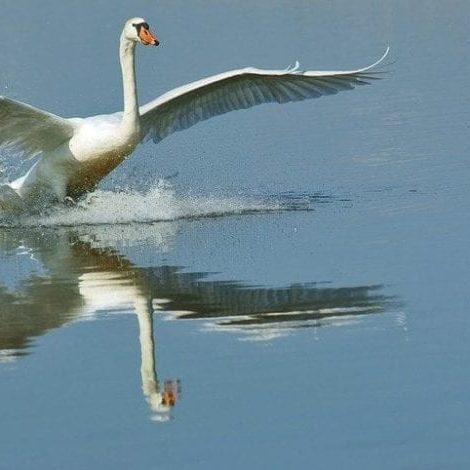 Making a landing page, how to do it?