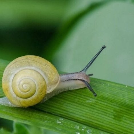 lightning fast WordPress website in 11 steps