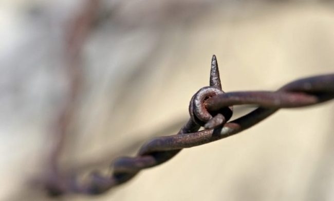 handleiding-beveiliging-WordPress-website-780×470 security for your website