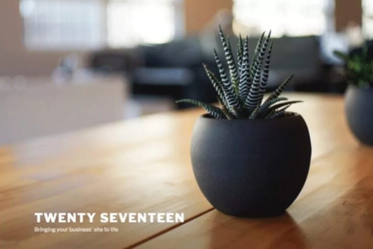 twenty-seventeen twenty-seventeen