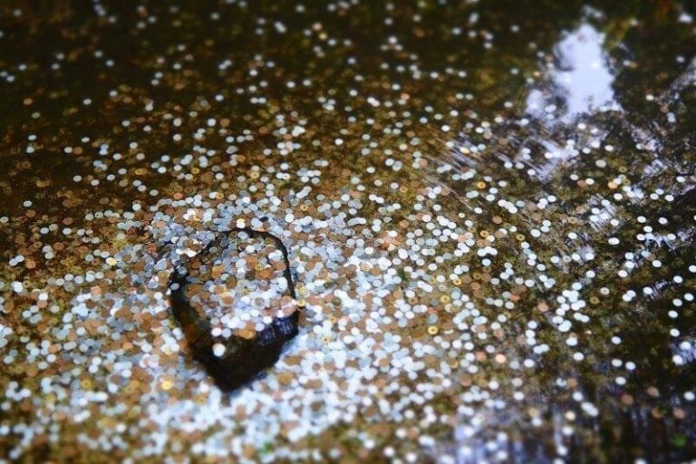 bitcoin-wordpress-theme-1