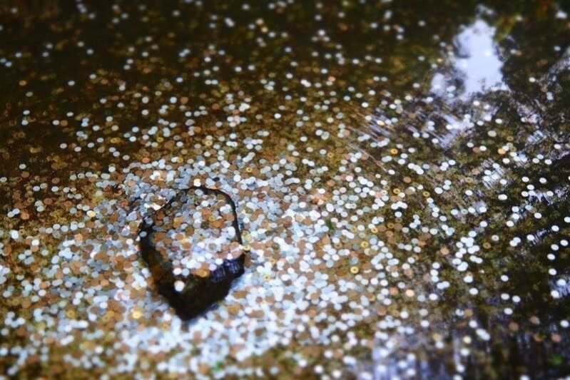 bitcoin-wordpress-theme-1