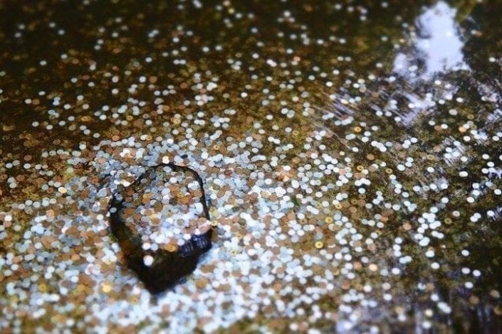 bitcoin-wordpress-theme bitcoin-wordpress-theme