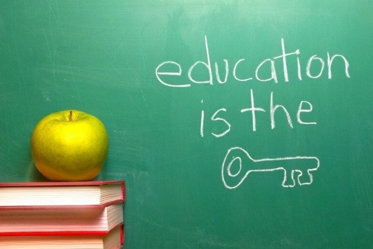 online-leren websites themes