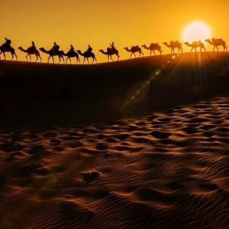 wordpress themes for travel blogs