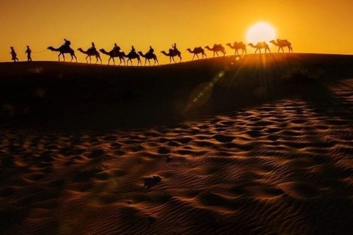 wordpress themes for travel blogs