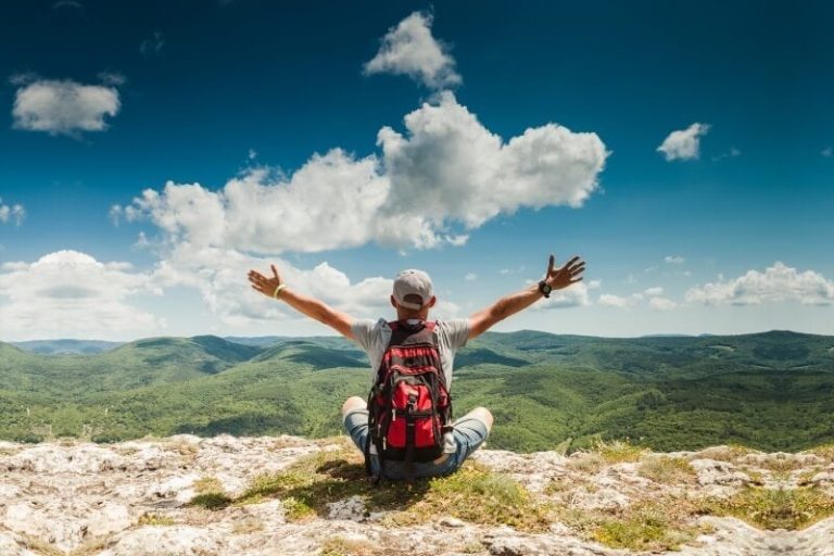 35 procetn kiest voor wordpress