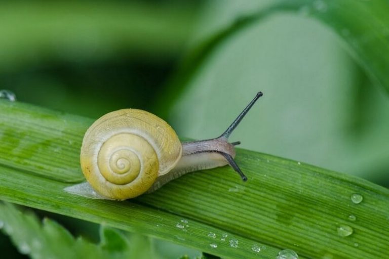 snelheid website verbeterern