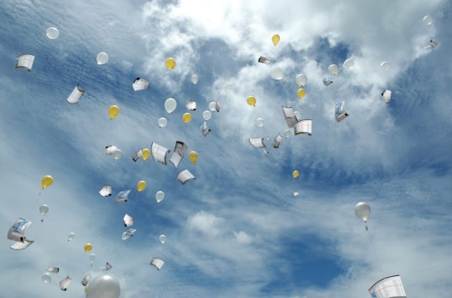 wordpress-backup-plugins wordpress-backup-plugins