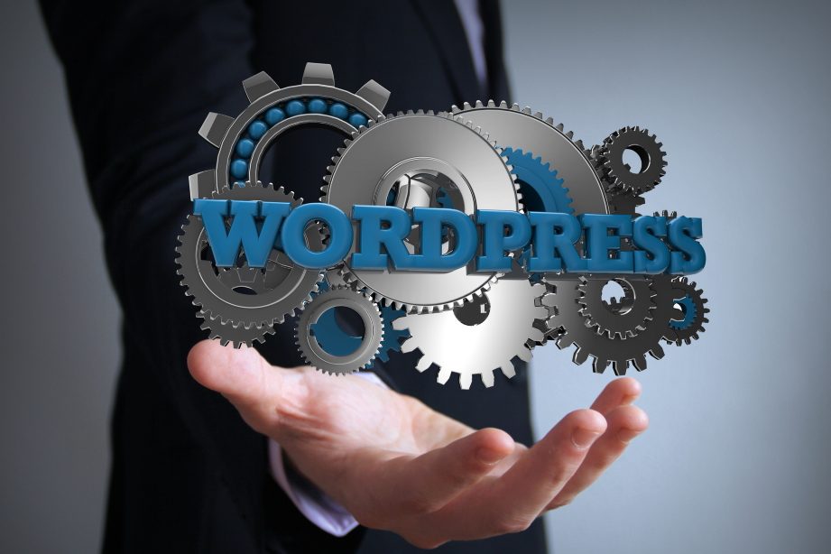 wordpress-onderhoud wordpress-onderhoud