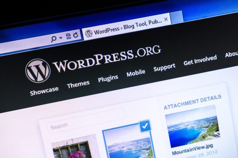 alles uit WordPress halen