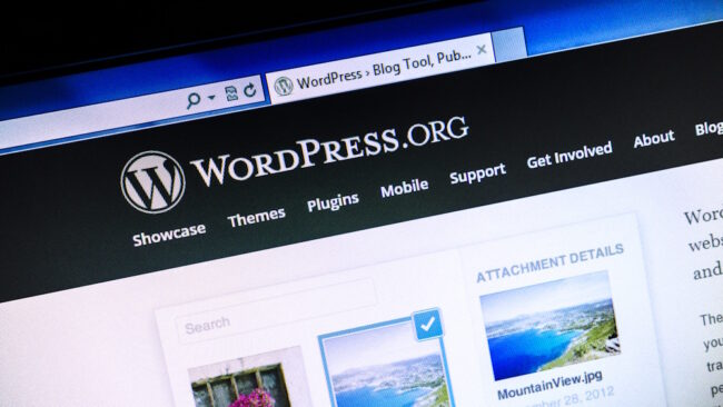 wordpress 2024 wordpress 2024