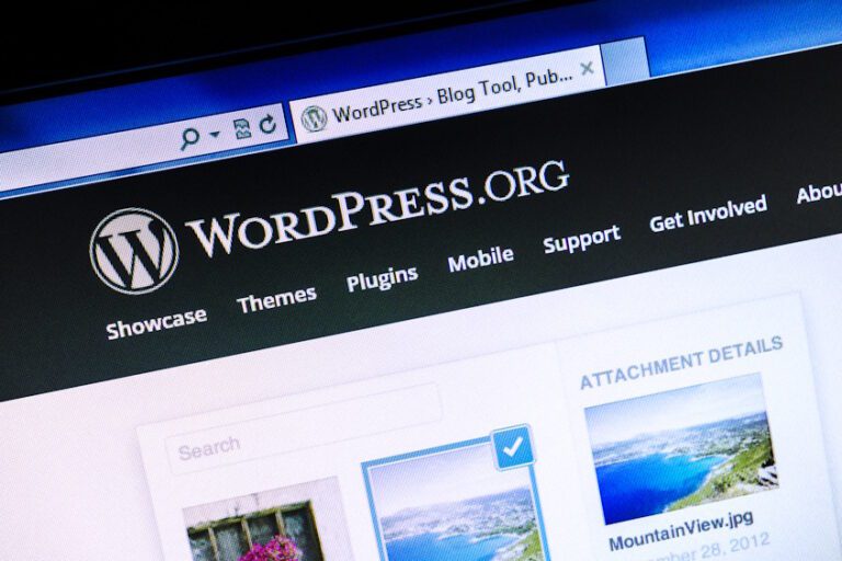 wordpress 2024
